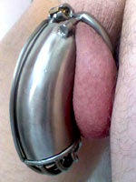 Cocks with chastity belts